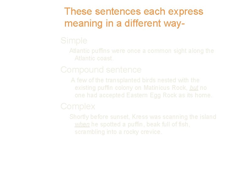 These sentences each express meaning in a different way. Simple Atlantic puffins were once