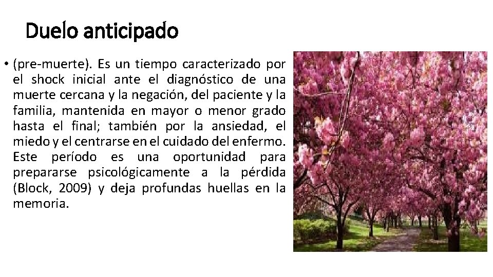 Duelo anticipado • (pre muerte). Es un tiempo caracterizado por el shock inicial ante