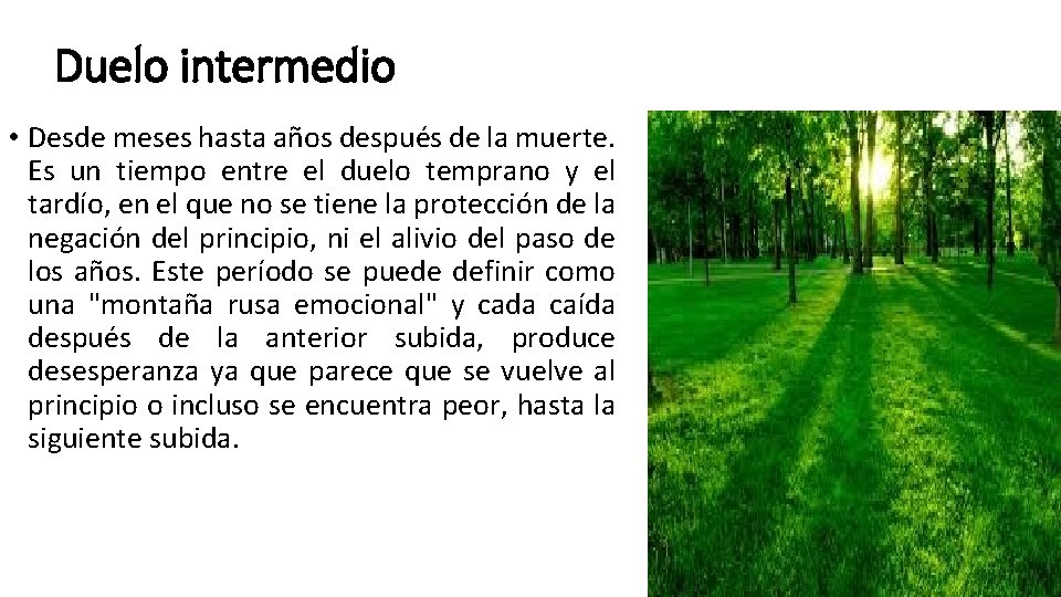 Duelo intermedio • Desde meses hasta años después de la muerte. Es un tiempo