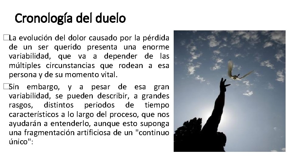 Cronología del duelo �La evolución del dolor causado por la pérdida de un ser