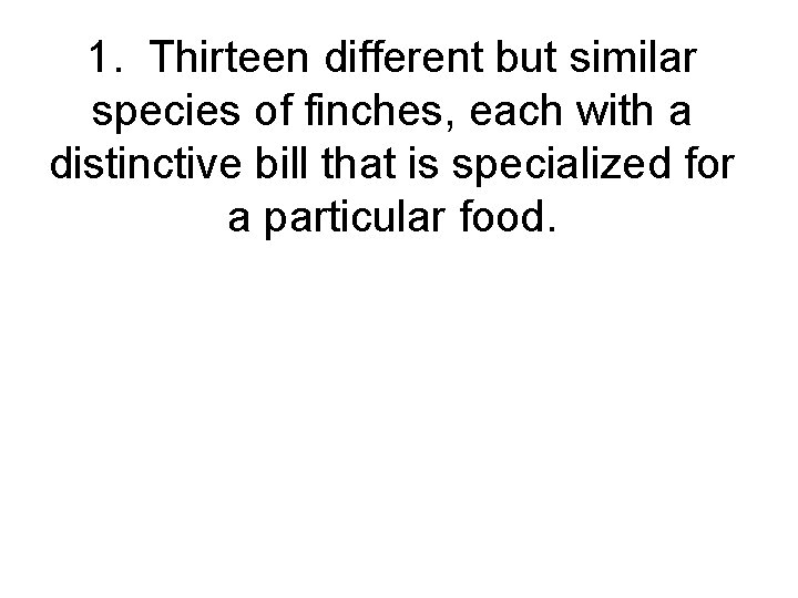 1. Thirteen different but similar species of finches, each with a distinctive bill that