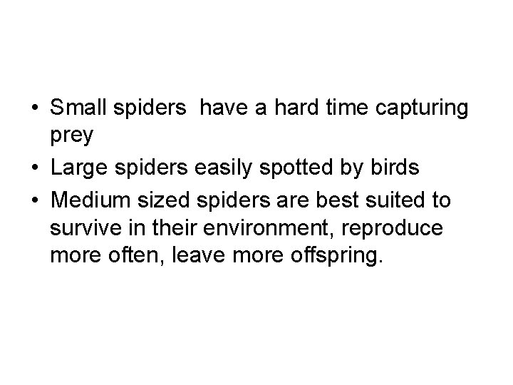  • Small spiders have a hard time capturing prey • Large spiders easily