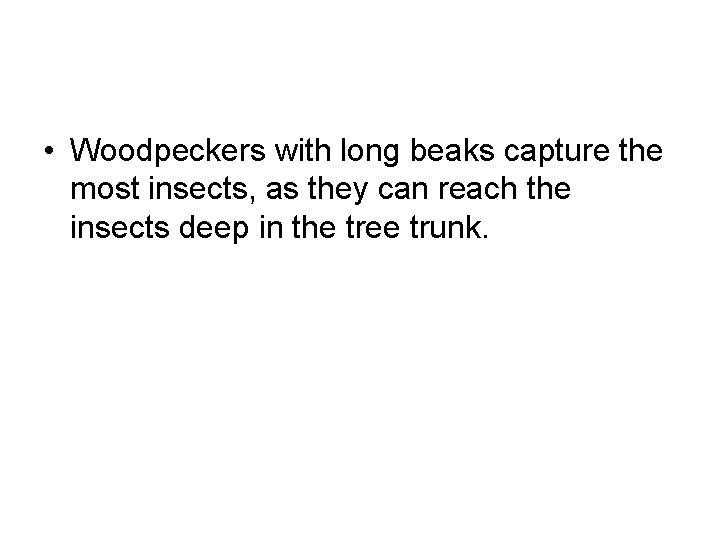  • Woodpeckers with long beaks capture the most insects, as they can reach