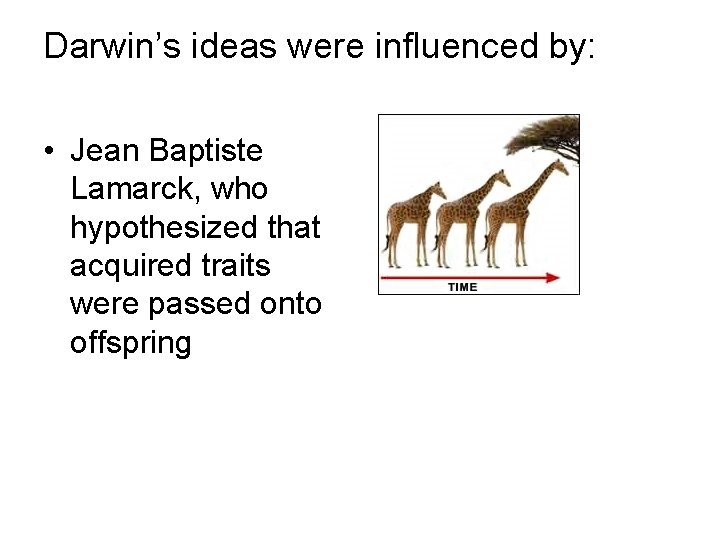 Darwin’s ideas were influenced by: • Jean Baptiste Lamarck, who hypothesized that acquired traits