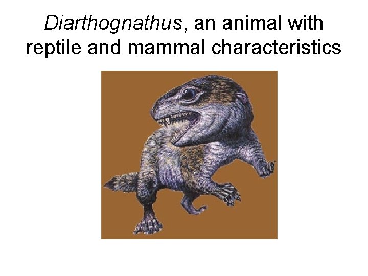 Diarthognathus, an animal with reptile and mammal characteristics 