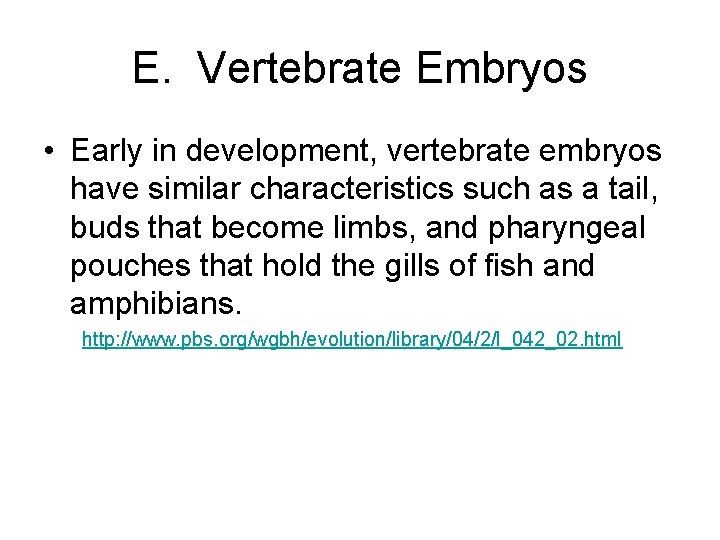 E. Vertebrate Embryos • Early in development, vertebrate embryos have similar characteristics such as