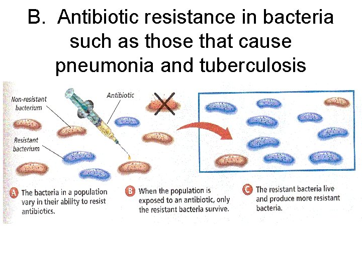 B. Antibiotic resistance in bacteria such as those that cause pneumonia and tuberculosis 