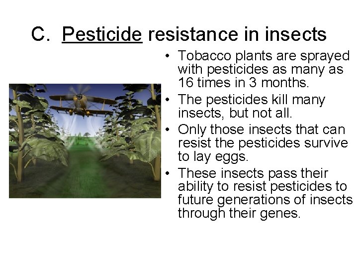 C. Pesticide resistance in insects • Tobacco plants are sprayed with pesticides as many