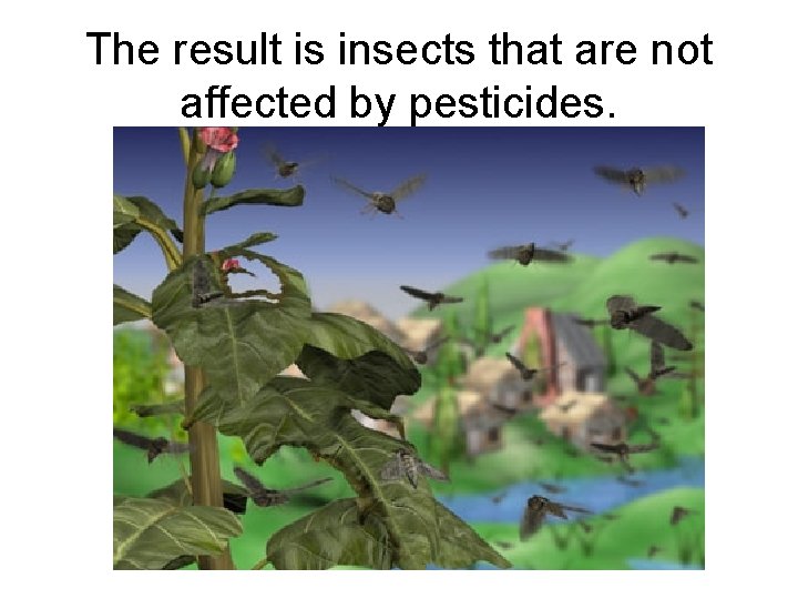 The result is insects that are not affected by pesticides. 