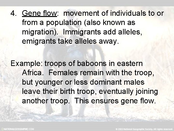 4. Gene flow: movement of individuals to or from a population (also known as