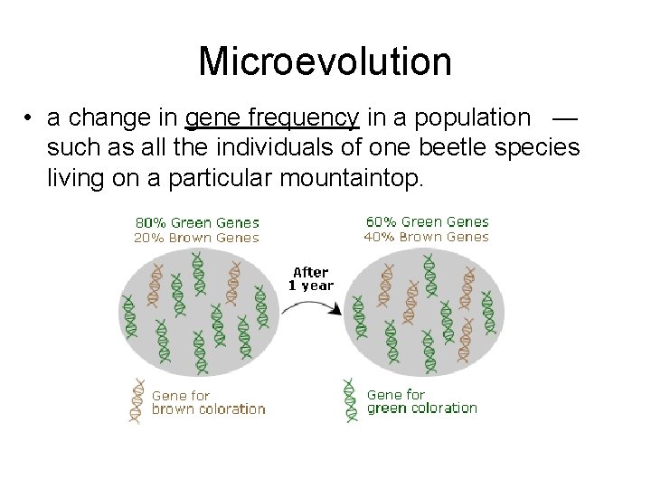 Microevolution • a change in gene frequency in a population — such as all