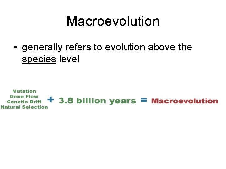 Macroevolution • generally refers to evolution above the species level 