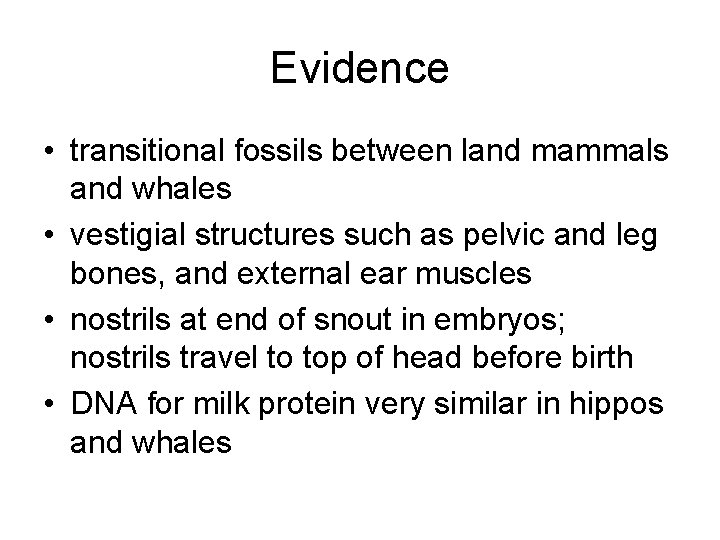 Evidence • transitional fossils between land mammals and whales • vestigial structures such as