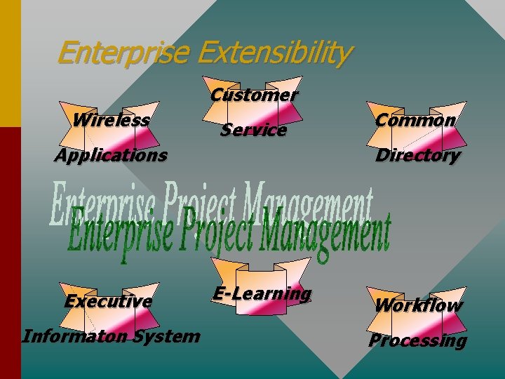 Enterprise Extensibility Customer Wireless Service Applications Executive Informaton System Common Directory E-Learning Workflow Processing
