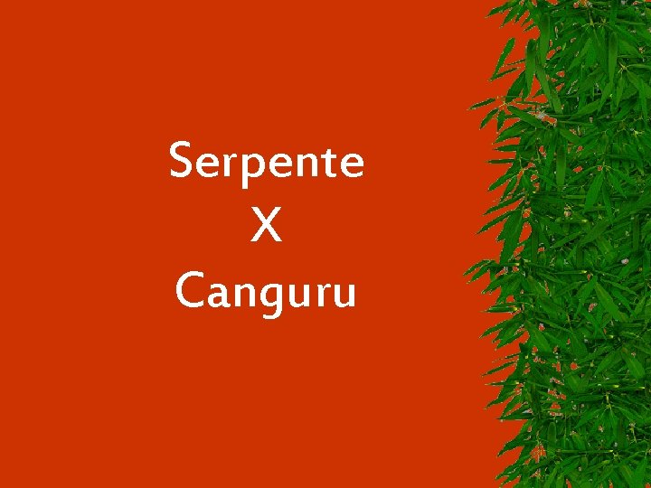 Serpente X Canguru 