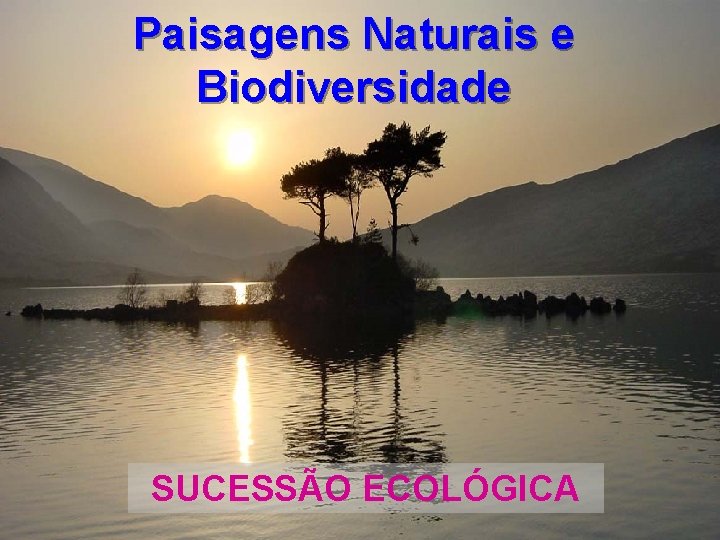 Paisagens Naturais e Biodiversidade SUCESSÃO ECOLÓGICA 