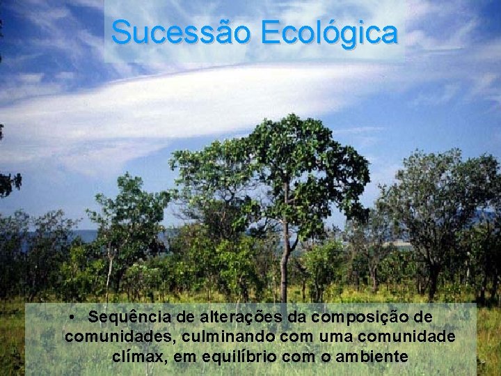 Sucessão Ecológica • Sequência de alterações da composição de comunidades, culminando com uma comunidade