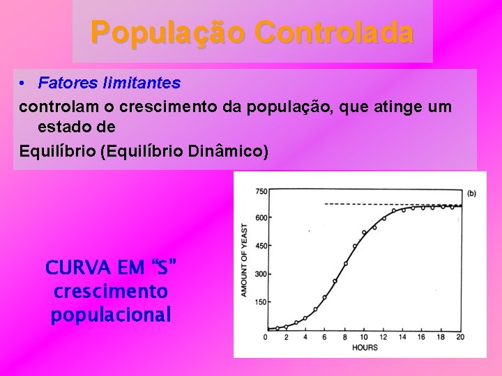 População Controlada • Fatores limitantes controlam o crescimento da população, que atinge um estado