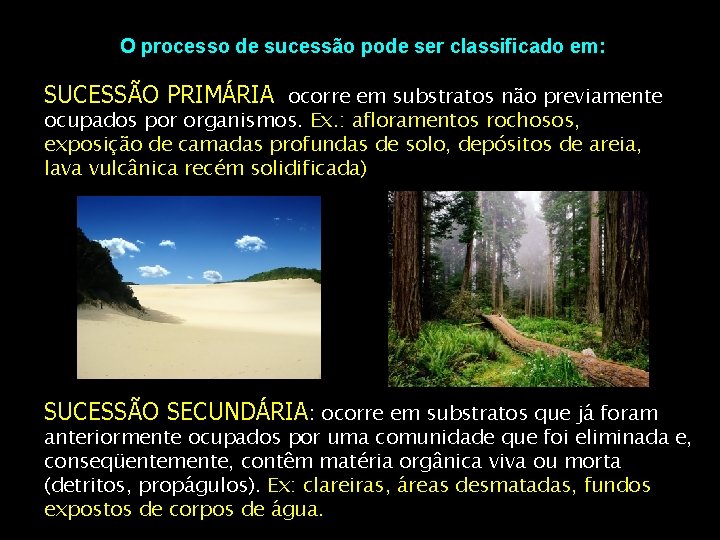 O processo de sucessão pode ser classificado em: SUCESSÃO PRIMÁRIA: ocorre em substratos não