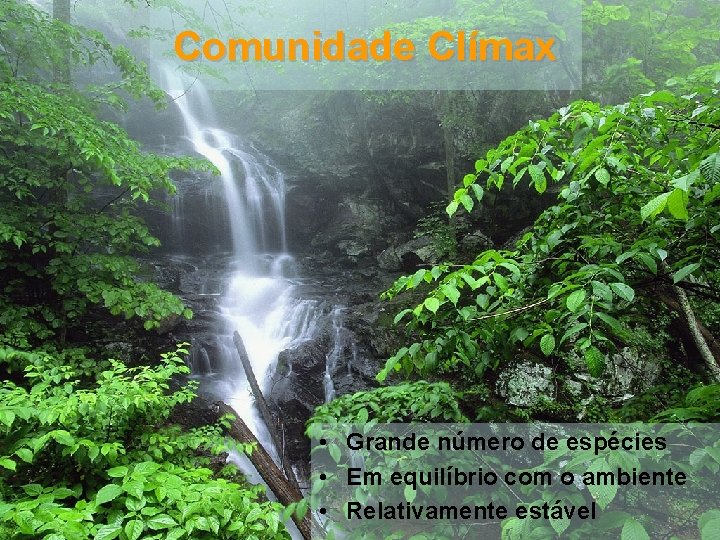 Comunidade Clímax • Grande número de espécies • Em equilíbrio com o ambiente •