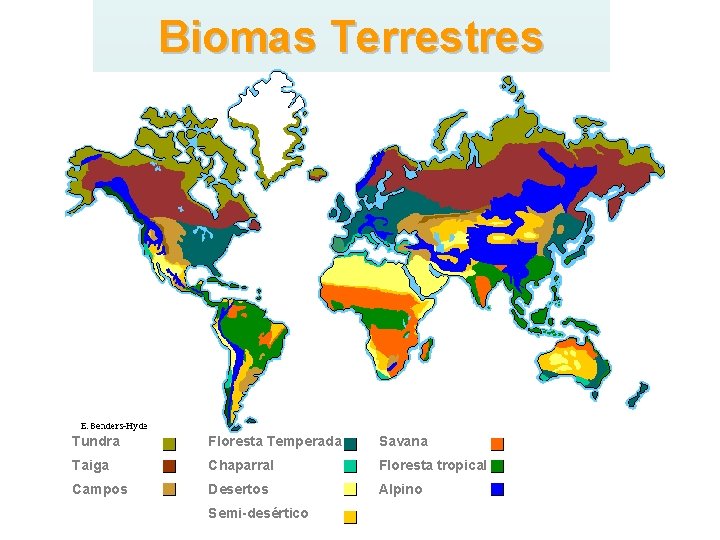 Biomas Terrestres Tundra Floresta Temperada Savana Taiga Chaparral Floresta tropical Campos Desertos Alpino Semi-desértico