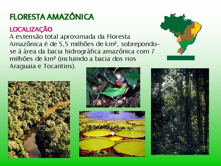 FLORESTA AMAZÔNICA LOCALIZAÇÃO A extensão total aproximada da Floresta Amazônica é de 5, 5