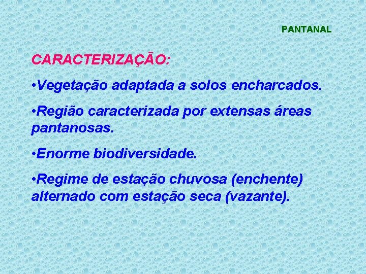 PANTANAL CARACTERIZAÇÃO: • Vegetação adaptada a solos encharcados. • Região caracterizada por extensas áreas