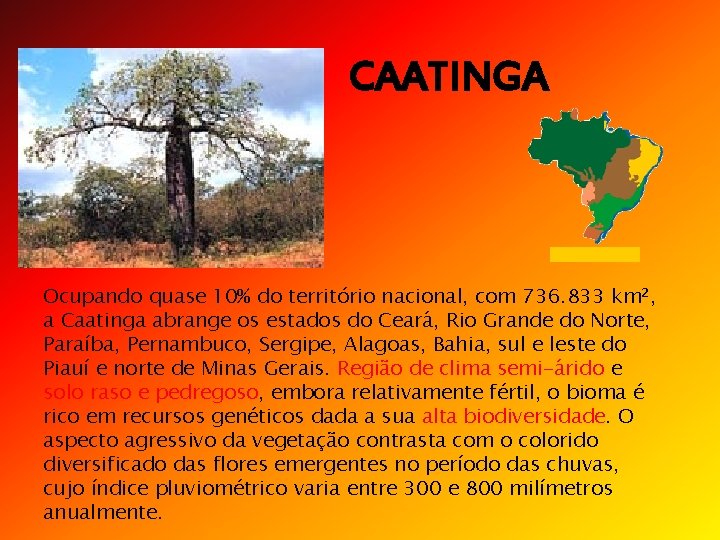 CAATINGA Ocupando quase 10% do território nacional, com 736. 833 km², a Caatinga abrange