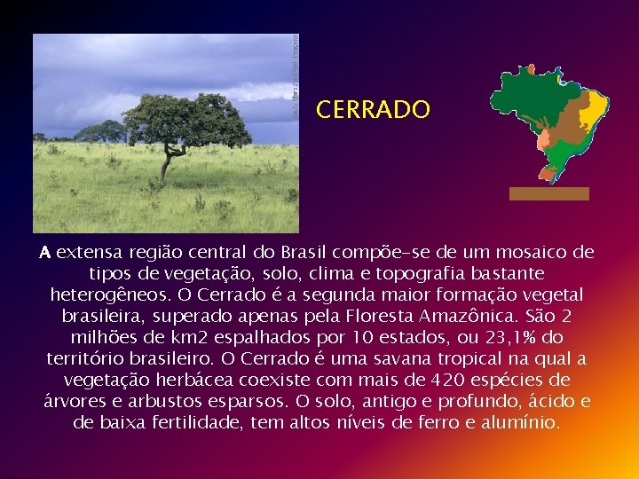 CERRADO A extensa região central do Brasil compõe-se de um mosaico de tipos de