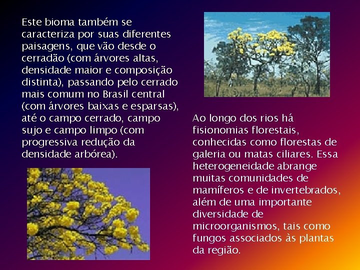 Este bioma também se caracteriza por suas diferentes paisagens, que vão desde o cerradão