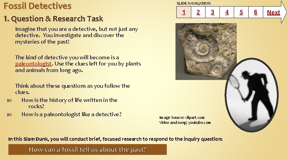 Fossil Detectives 1. Question & Research Task SLIDE NAVIGATION 1 2 3 Imagine that