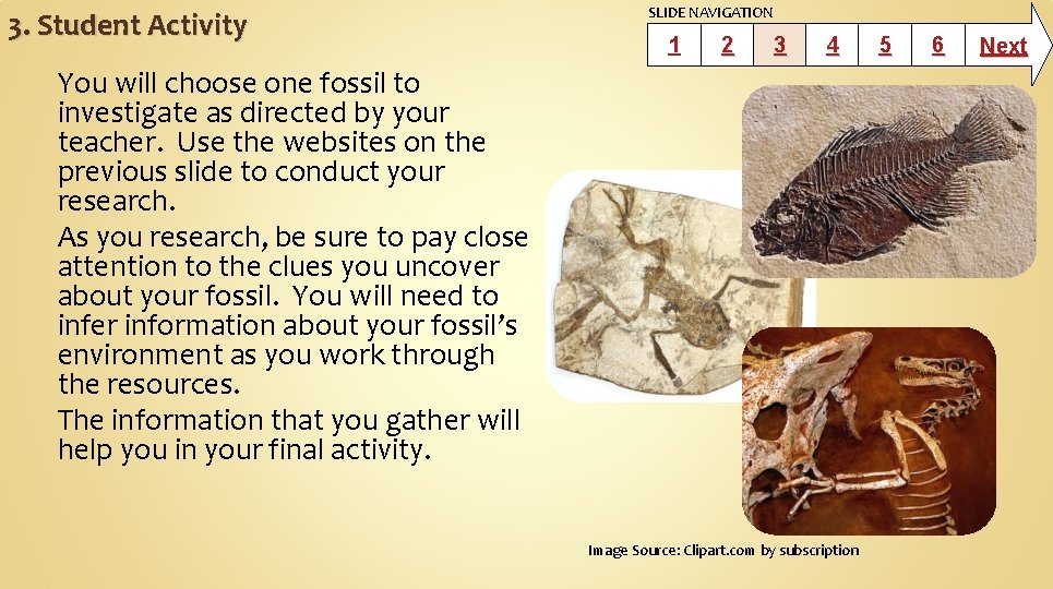 3. Student Activity SLIDE NAVIGATION 1 2 3 4 You will choose one fossil