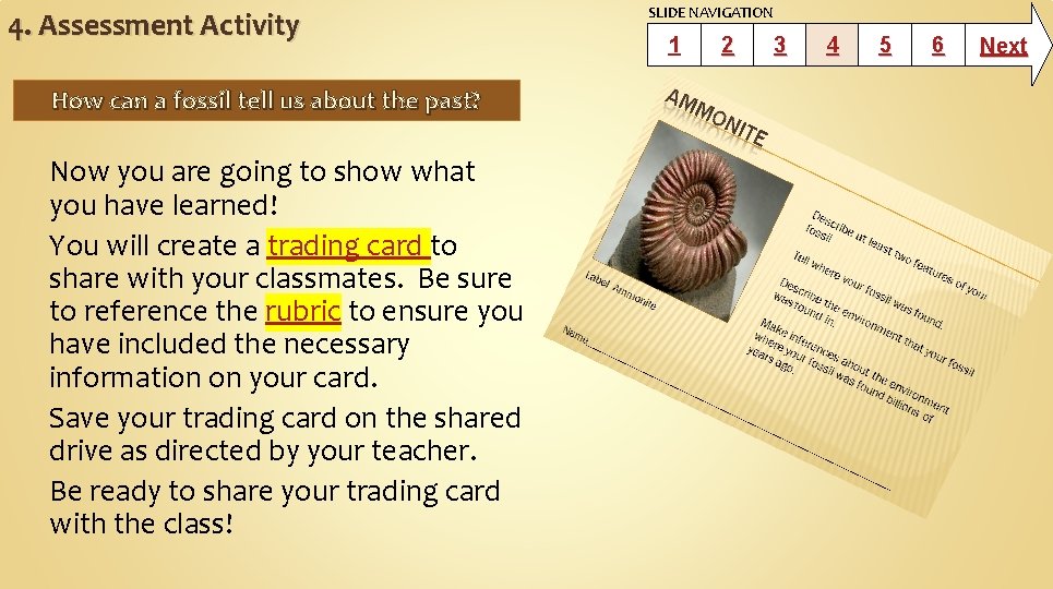 4. Assessment Activity How can a fossil tell us about the past? Now you