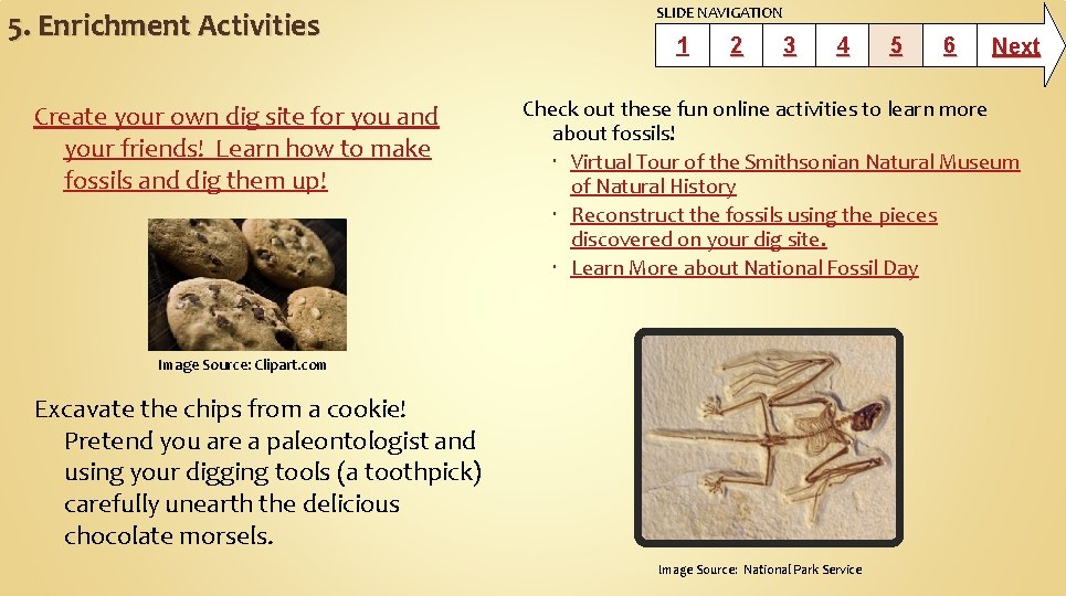 5. Enrichment Activities Create your own dig site for you and your friends! Learn