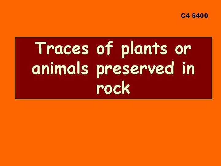 C 4 $400 Traces of plants or animals preserved in rock 