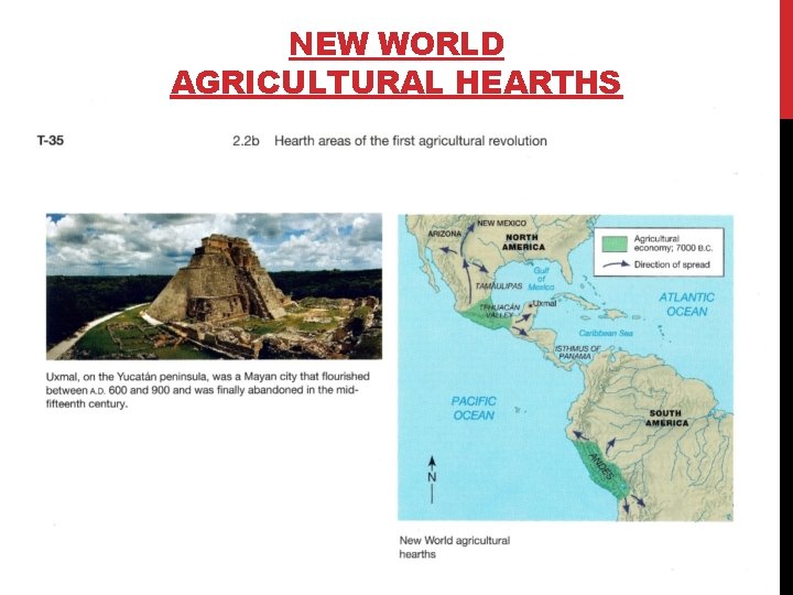 NEW WORLD AGRICULTURAL HEARTHS 