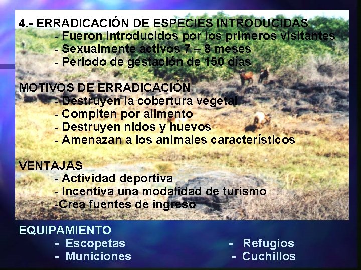 4. - ERRADICACIÓN DE ESPECIES INTRODUCIDAS - Fueron introducidos por los primeros visitantes -