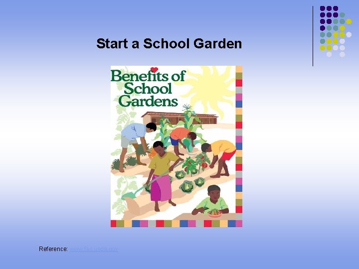 Start a School Garden Reference: www. fas. usda. gov 