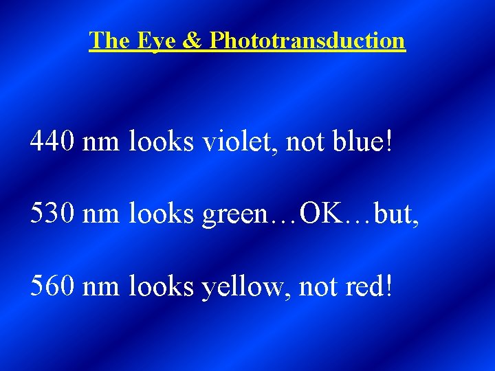 The Eye & Phototransduction 440 nm looks violet, not blue! 530 nm looks green…OK…but,