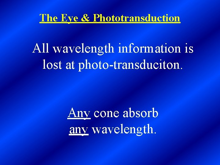 The Eye & Phototransduction All wavelength information is lost at photo-transduciton. Any cone absorb