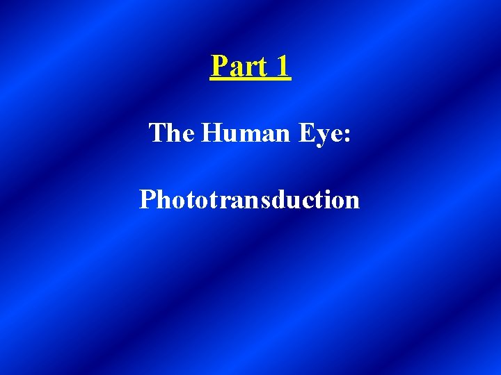 Part 1 The Human Eye: Phototransduction 