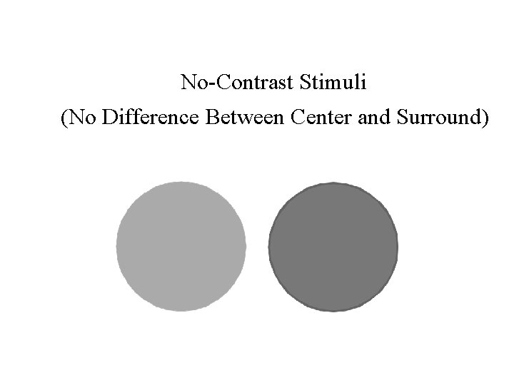 No-Contrast Stimuli (No Difference Between Center and Surround) 