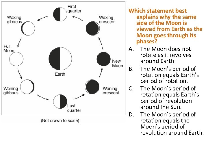 Which statement best explains why the same side of the Moon is viewed from Which statement best explains why the same side of the Moon is viewed from