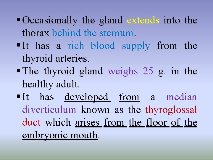 § Occasionally the gland extends into the thorax behind the sternum. § It has