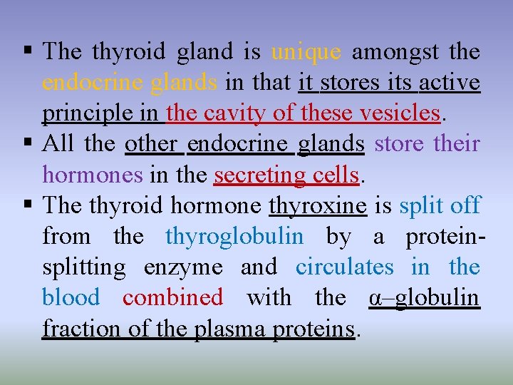 § The thyroid gland is unique amongst the endocrine glands in that it stores