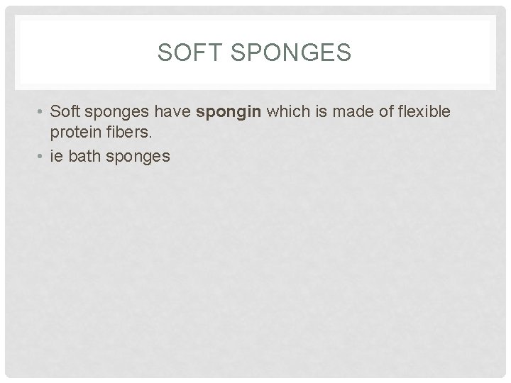 SOFT SPONGES • Soft sponges have spongin which is made of flexible protein fibers.
