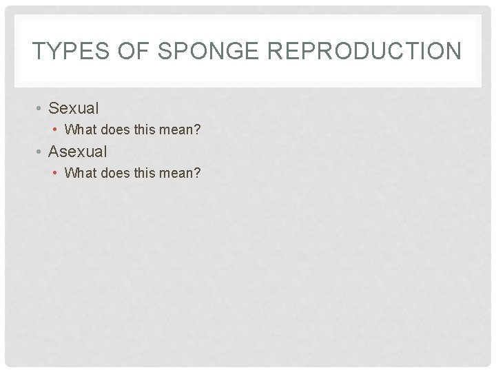 TYPES OF SPONGE REPRODUCTION • Sexual • What does this mean? • Asexual •
