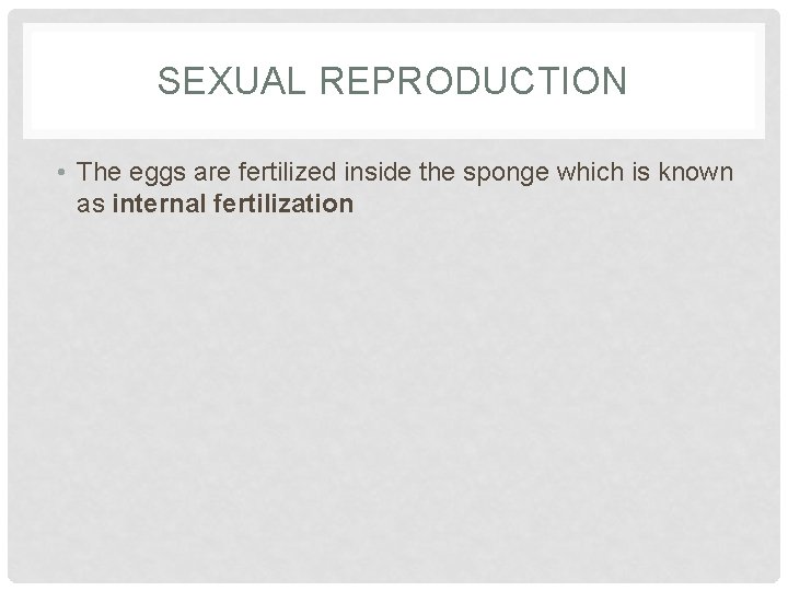 SEXUAL REPRODUCTION • The eggs are fertilized inside the sponge which is known as