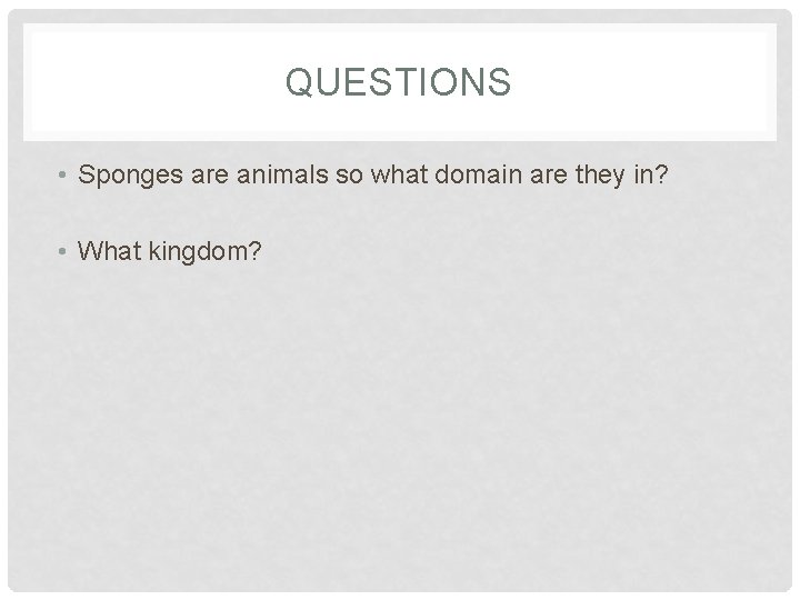 QUESTIONS • Sponges are animals so what domain are they in? • What kingdom?