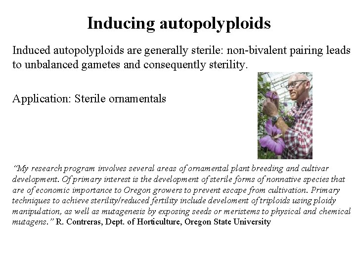 Inducing autopolyploids Induced autopolyploids are generally sterile: non-bivalent pairing leads to unbalanced gametes and